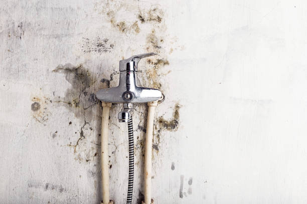 Best Emergency Mold Removal  in Helena West Helena, AR
