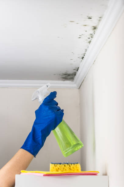 Best Crawl Space Mold Removal  in Helena West Helena, AR